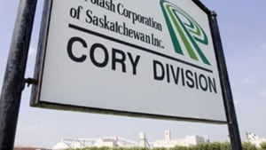 hi-potash-cory-cp