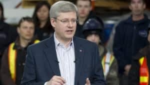 mi-harper-nwt-300-cp-00530554