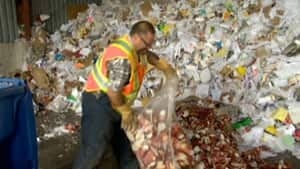 ns-mi-recyclingtimscups-300