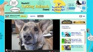 ns-mi-spca-video