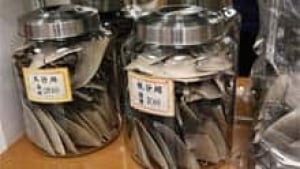 mi-bc-archive-shark-fin-jars2