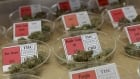 medical-marijuana-cp0009918