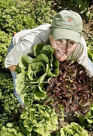 organic-300-7056322