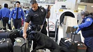tp-airport-security