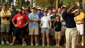 woods-tiger-110512