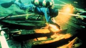 red-bay-diver-306