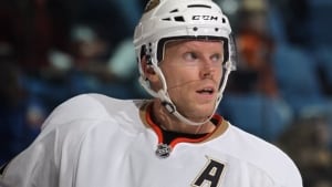 koivu-saku