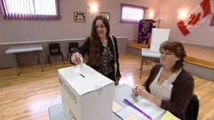 pv-mi-labchuk-votes