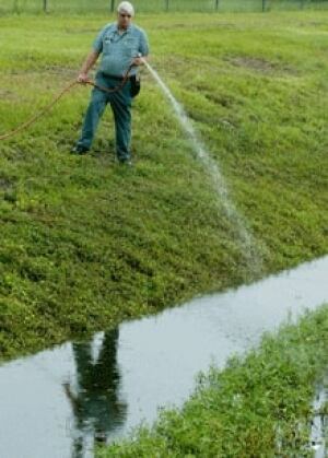 si-mosquito-spray-220-reute
