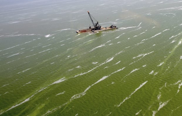 Lake Erie Algae Water