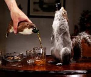 brewdog-beer220x186