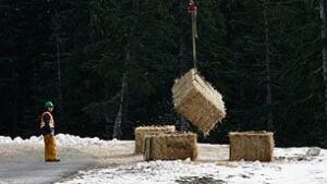 cypress-hay-306