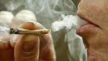 tp-marijuana-cp-686349