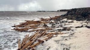 ns-barge-logs