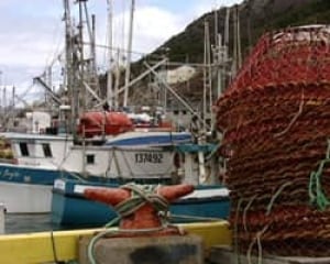 nl-crab-pots-20090507