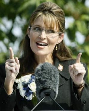 palin-306-7264565(2)