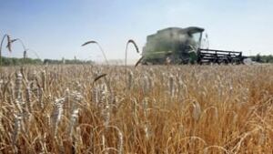 tp-wheat-harvest-cp-5187620