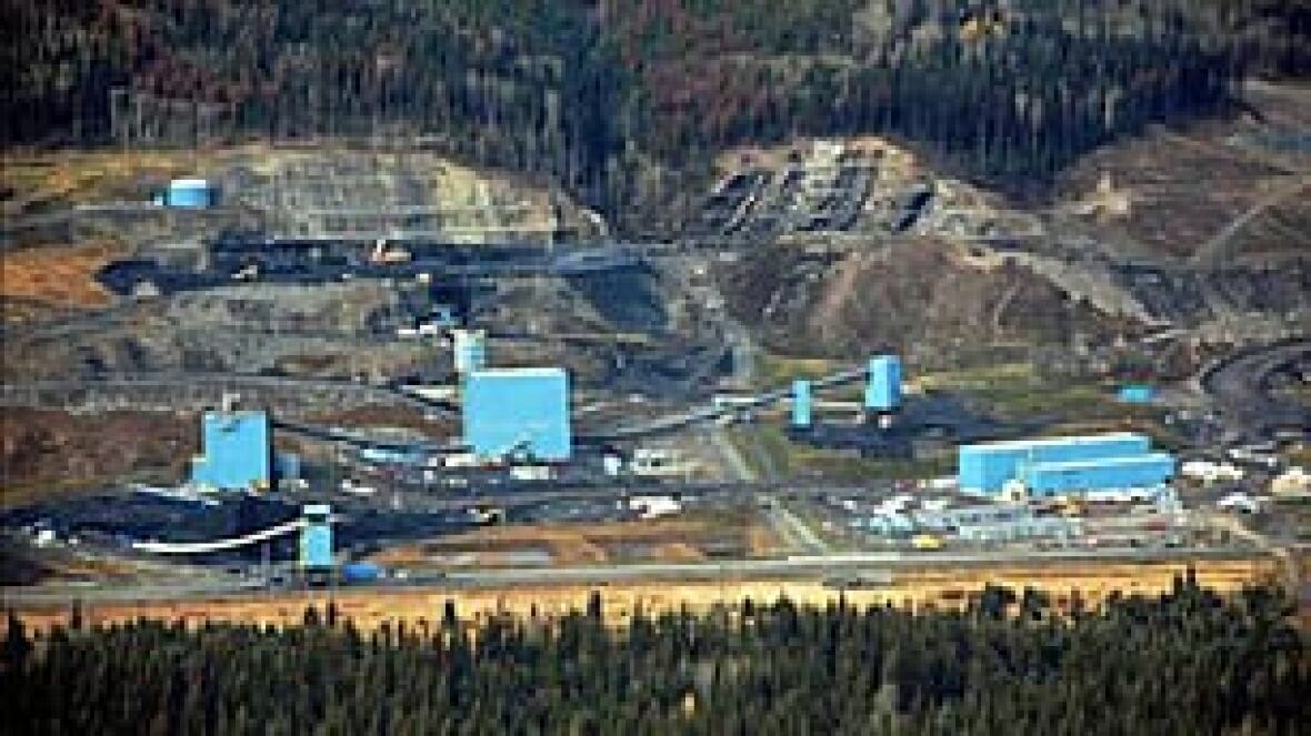 Western Coal takeover bid rallies shares CBC News