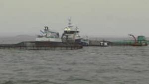 tp-nb-fish-farm-aquaculture