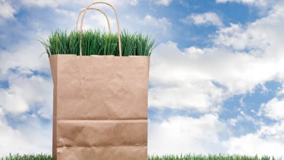 After years of blogging about sustainability and promoting eco-friendly fashion, Brooklyn freelance reporter Alden Wicker has come to the conclusion that the idea of conscious consumerism is a lie — and broader, systemic change is needed instead.