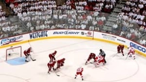 coyotes-100427