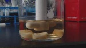 tp-cartilage-beaker100720