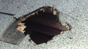 tp-whse-lobird-blast080507