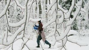 tp-ott-ski-cp-571744
