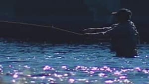 tp-nb-salmon-fisherman