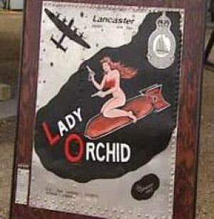 cgy-ladyorchid