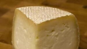 tp-cheese-cp-4453118