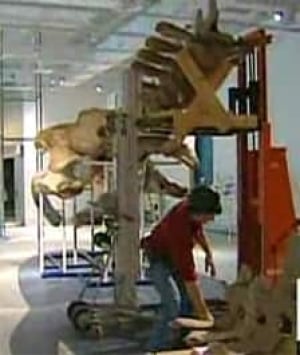 ottawa-whale-museum-new