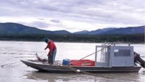 tp-7113228-yukonfisher