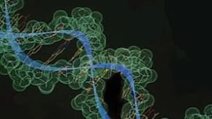 tp-dna090223