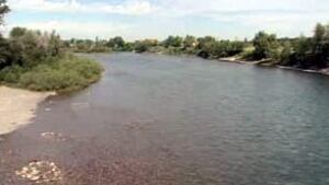 tp-cgy-rivers-fish1