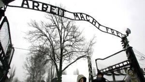 tp-auschwitz-wd-7843228