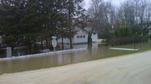 gimli-flooding-yard
