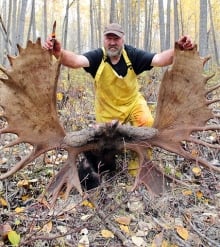 Giant moose