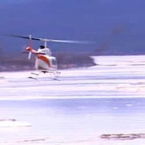 nl-chopper-search-20100520