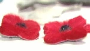 tp-inuit-fur-poppy101111