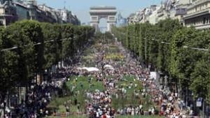 tp-champs-elyses-cp-8730208