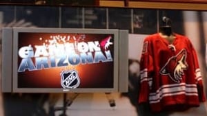coyotes-090625