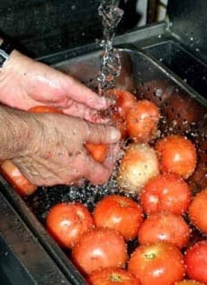 tomato-wash-cp-4989562