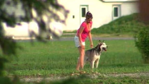 mtl-mauling-dog-2