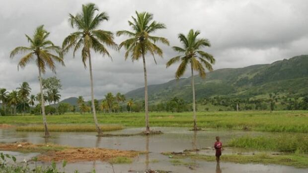 haiti-file-history-cp