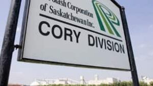 sk-potash-analysis-cp-306