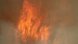 tp-edmonton-wildfire-smoke