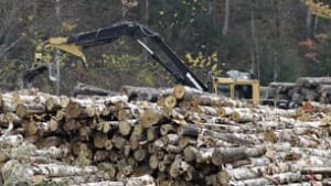 logging-machine