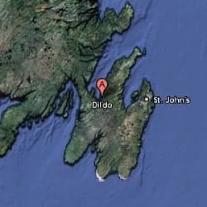 nl-map-dildo-250