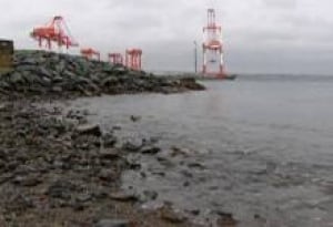 ns-hfx-harbour-swim